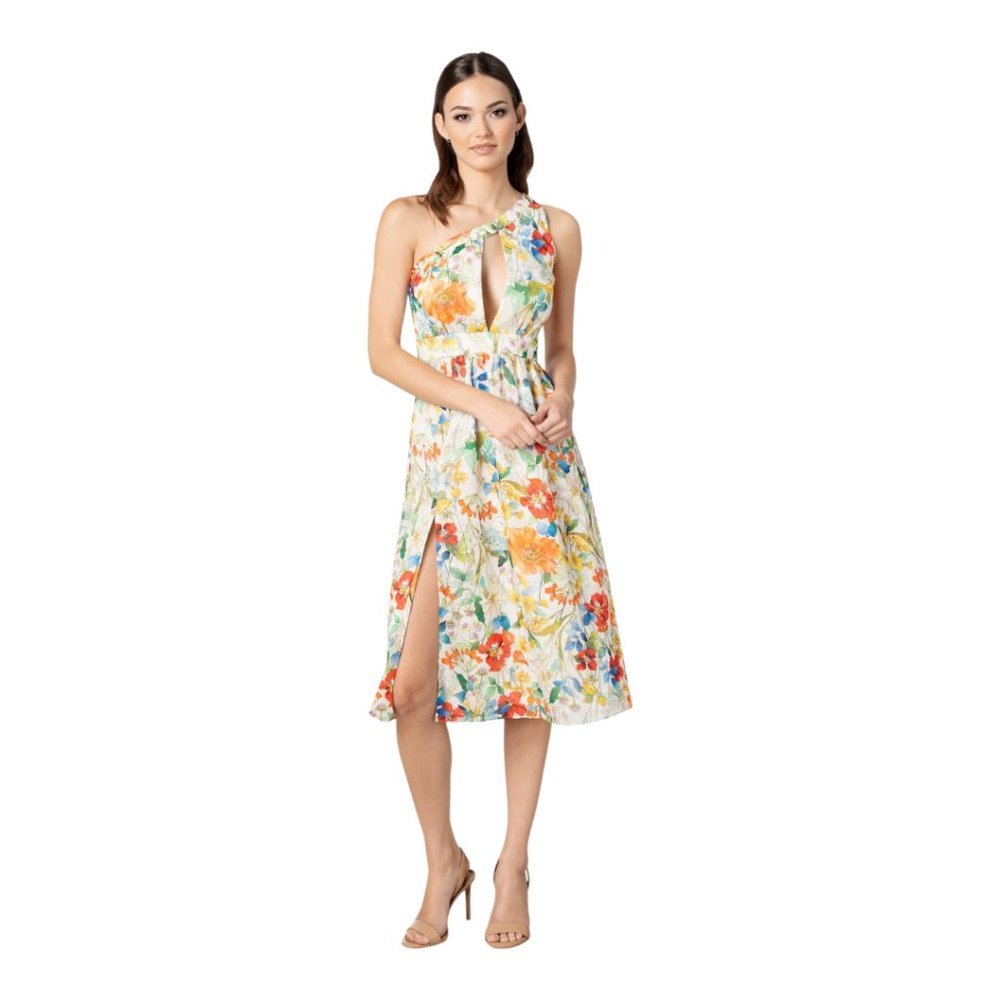 Dress the Population | Mena Party Dress